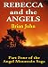 Rebecca and the Angels (Vol 4 of the Angel Mountain Saga) (Angel Mountain Saga)