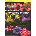 The Power of Flowers 1: Dreaming Orchids