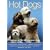 Hot Dogs: Fourteen of the Top Designer Dogs