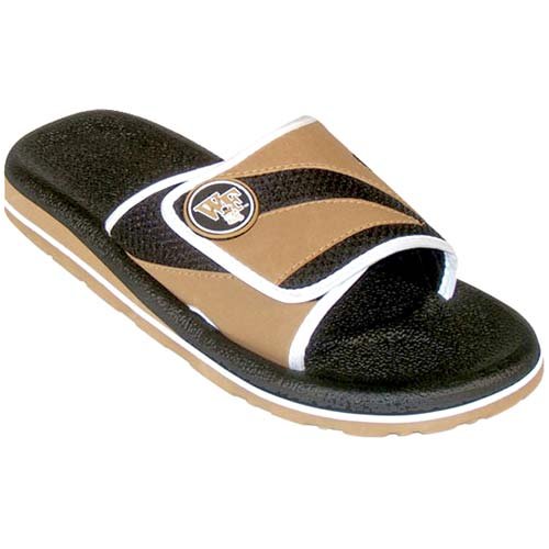 My Team Wake Forest Demon Deacons Slides My Team Wake Forest Demon Deacons Slides