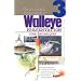 Critical Concepts 3: Walleye Presentation (Critical Concepts (In-Fisherman))