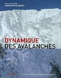 Dynamique des avalanches