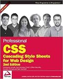 Professional CSS