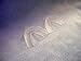 NiceWhites, Thermo-mounding Custom Fitting Teeth Whitening and Cleaning Trays