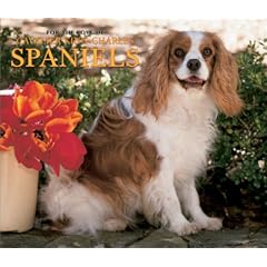 For the Love of Cavalier King Charles Spaniels Deluxe Wall Calendar: 2003
