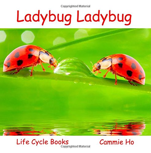Ladybug Ladybug (Life Cycle Books)