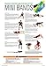 Professional Mini Exercise Band Starter Pack - Set of 4 (Includes Exercise Sheet)