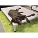 Coolaroo 4330-XX Aluminum-Frame Elevated Dog Bed