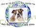Bulldog Mouse Pad Dog Mousepad Creation