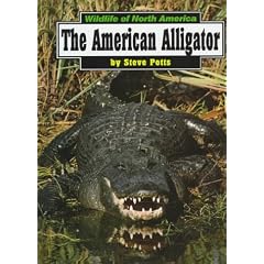 The American Alligator (Wildlife of North America)