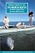 Flyfisher's Guide to the Florida Keys (Wilderness Adventures Flyfishing Guidebook)