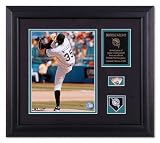 Dontrelle Willis Florida Marlins Framed 8x10 Photograph with Game-Used Baseball Piece & Medallion