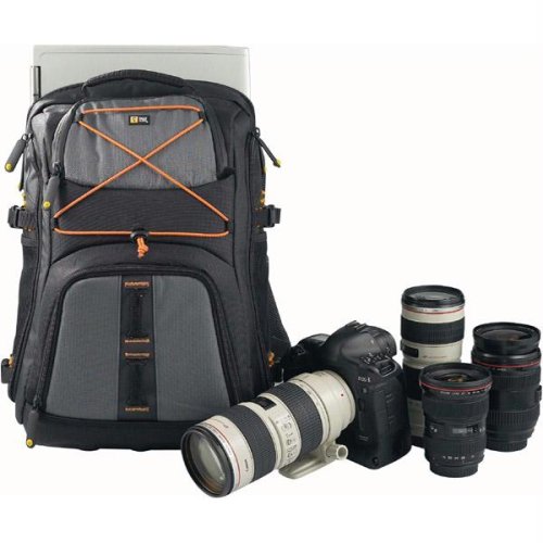 compatible luggage