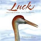 Luck (Outdoor Adventures) by Jean Craighead George and Wendell Minor
