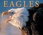 Eagles 2005 Calendar