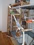 Tolles Sisal Kletterseil mit 3 Naturholz Sitzstangen und leckeren Knabberringen - ein au�ergew�hnliches Vogelspielzeug