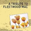 A Tribute to Fleetwood Mac