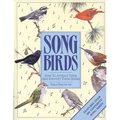 Song Birds: How to Attract Them and Identify Their Songs