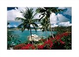 Beach View, St. Thomas, U.S. Virgin Islands poster print,22.1 in. x 16 in.