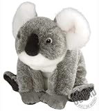 Baby Koala Cuddlekins (Large)