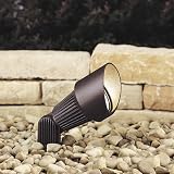 Bronze Landscape Adjustable Spot Path Light
