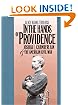 In the Hands of Providence: Joshua L. Chamberlain and the American Civil War