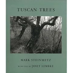 Tuscan Trees