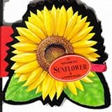 The magnetic sunflower companion