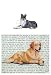 Collie (Smooth coat) Glass Cutting Board