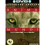 Anima Mundi