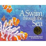 A Swim Through the Sea