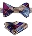 HISDERN Men's Bow Ties Check Plaid Self Tie Bow Tie and Pocket Square Classic Formal Bowtie Tuxedo Wedding Bowties Handkerchief Set