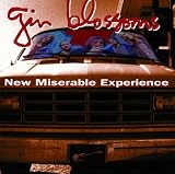 New Miserable Experience