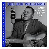 The Essential Blue Archive: Baby Please Don`t Go