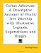 Book Cultus Arborum: A Descriptive Account of Phallic Tree Worship with Illustrative Legends, Superstitions and Usages