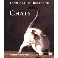 Chats