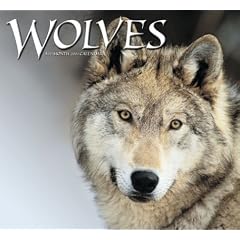 Wolves 2004 Calendar
