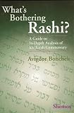 What s Bothering Rashi? - Shemos (What s Bothering Rashi Series)