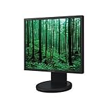 Samsung Syncmaster 940T 48,3 cm (19 Zoll) TFT Monitor DVI (Kontrast 1000:1, Reaktionszeit 8ms)