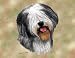 Old English Sheepdog Woven Lap Square (Throw Blanket)