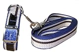 Celltei - Sportsman - Navy - Collar & Lead Set - Gold Color Watch Decorated with Gemstones - Size: Medium
