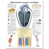 Maintaining a Healthy Weight Anatomical Chart in Spanish (Manteniendo un peso saludable)