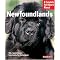 Books for Dog owners