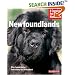 Newfoundlands (Complete Pet Owner's Manual)