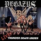 Live Thunder Down