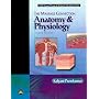 The Massage Connection: Anatomy and Physiology (Lww Massage Therapy & Bodywork Series)