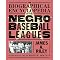 Immerse Yourself in Baseball History