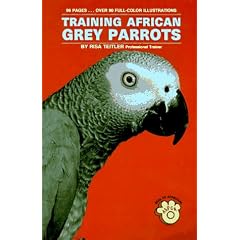 Training African Grey Parrots