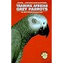 Training African Grey Parrots