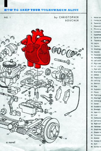 How to Keep Your Volkswagen Alive